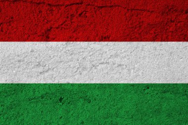 Flag of Hungary on a textured background. Background texture. National Hungary flag.