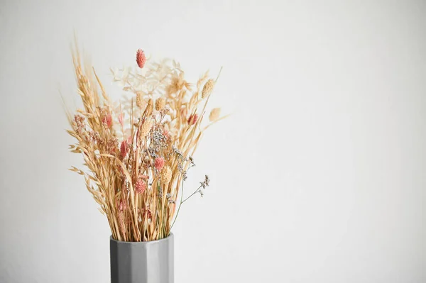 Beautiful Dried Flowers Gray Vase Background White Wall Interior Wheat — Fotografia de Stock