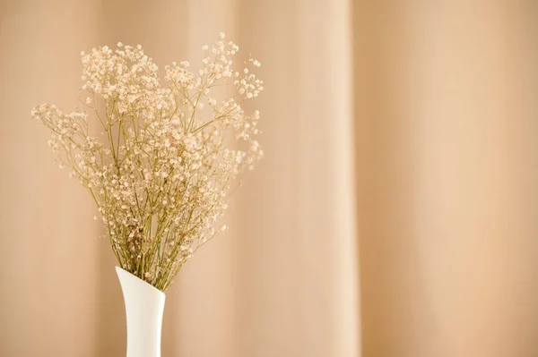 Dried Flowers White Vase Stand Close Golden Background — Fotografia de Stock