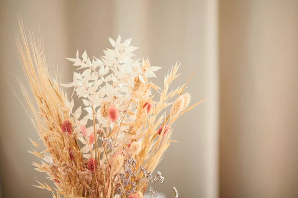 Dried Wheat Flowers Close Golden Background — Fotografia de Stock