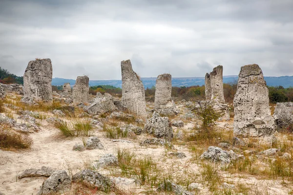 Bosque de piedra cerca de Varna, Bulgaria. Pobity kamni —  Fotos de Stock
