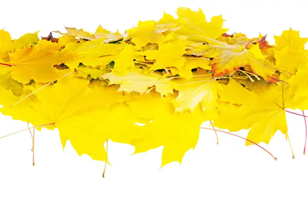 秋天的堆叶子上孤立的白色背景 — 图库照片