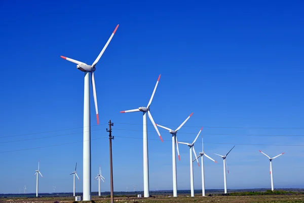 Turbiner vindkraftspark - alternativ energikälla — Stockfoto