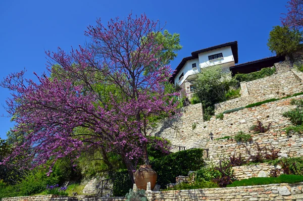 Residencia de la reina rumana junto al mar Negro en Balchik, Bulgaria —  Fotos de Stock