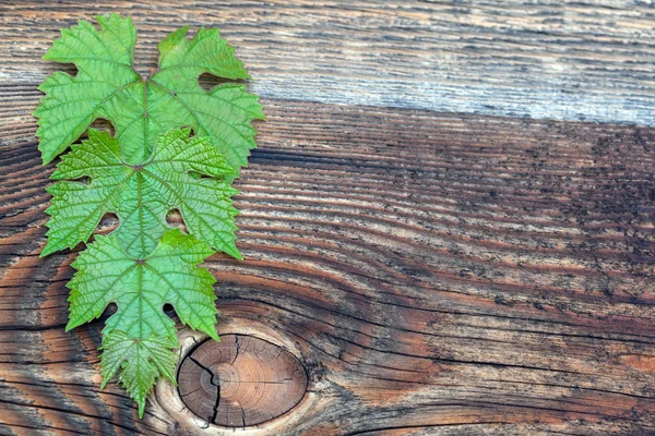 Hojas de uva contra tablones de madera viejos — Foto de Stock