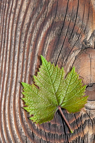 针对旧木板葡萄叶子 — 图库照片