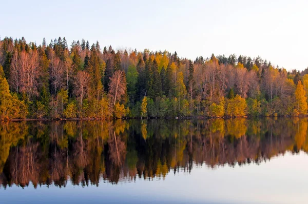 Vacker vår trä återspeglas i floden — Stockfoto