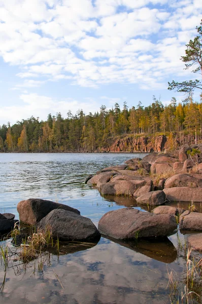 Primavera. Natureza selvagem do Norte russo. Ilha de Valaam — Fotografia de Stock