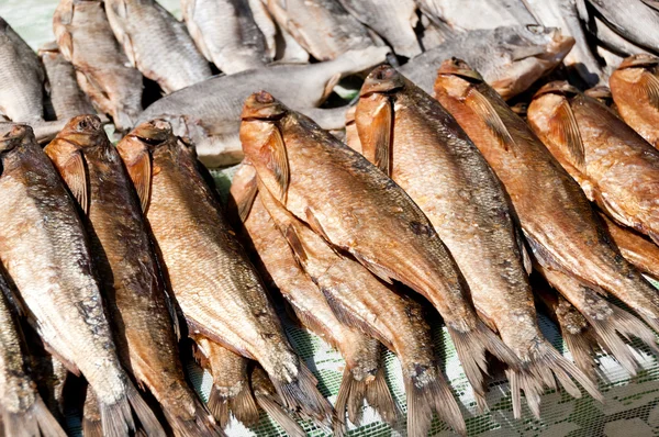 在庫の魚 — ストック写真