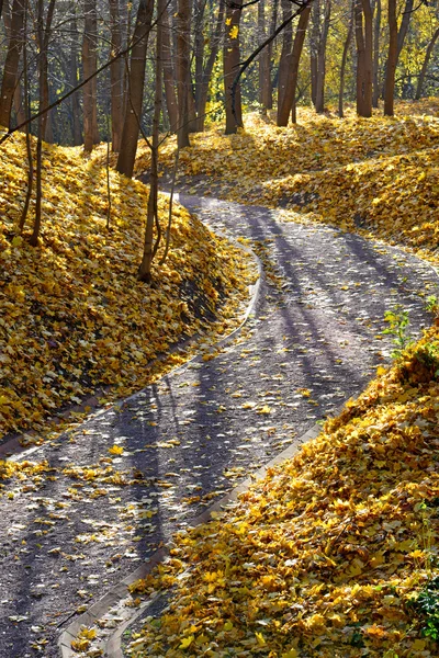 Herfst in het park — Stockfoto