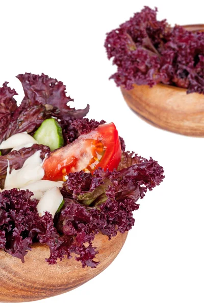 Ensalada fresca con tomates y pepinos — Foto de Stock