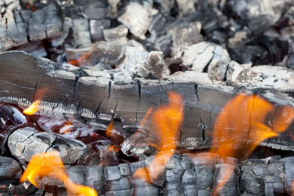 Summertime camp fire in the woods — Stock Photo, Image