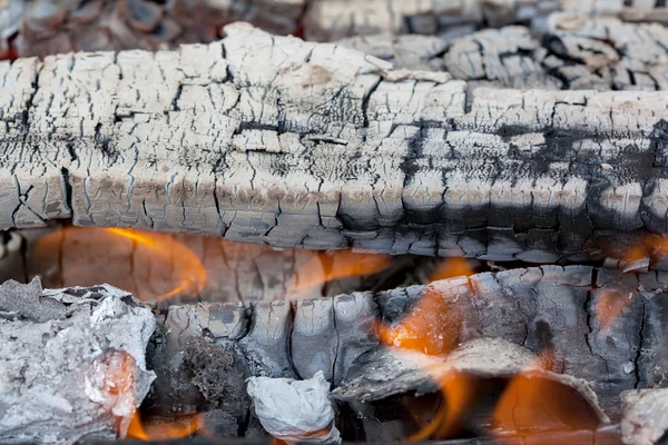 Summertime camp fire in the woods — Stock Photo, Image
