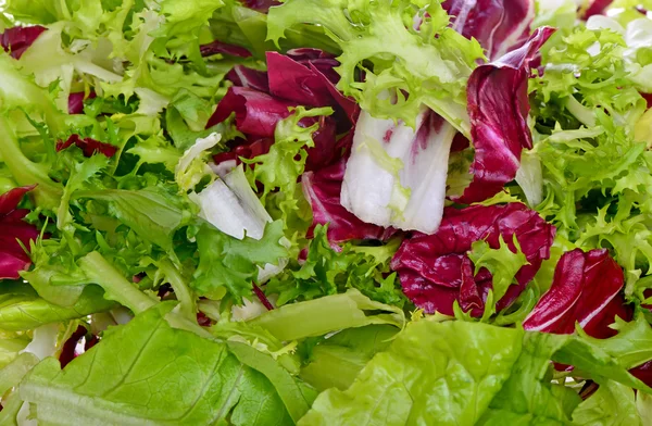 Salatmischung mit Rucola, Frisee, Radicchio und Salat — Stockfoto