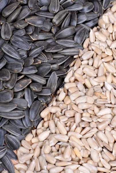 Sunflower seeds texture as background — Stock Photo, Image