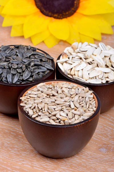 Fresh sunflower seeds — Stock Photo, Image