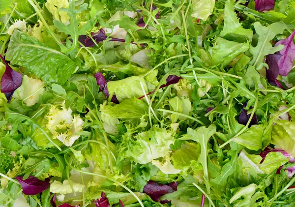 Frische Salatblätter Sortiment Nahaufnahme für Hintergrund — Stockfoto