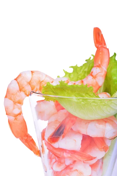 Shrimp cocktail isolated on white background — Stock Photo, Image
