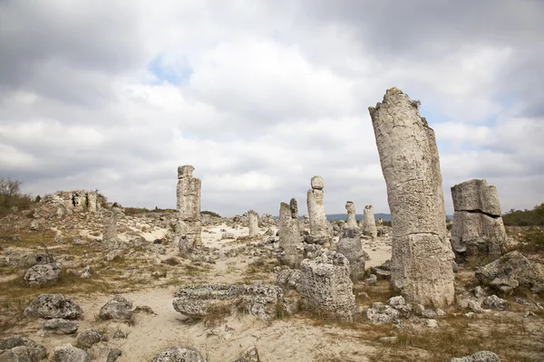 Versteend bos in de buurt van varna, Bulgarije. pobiti kamni, rock fenomeen — Stockfoto