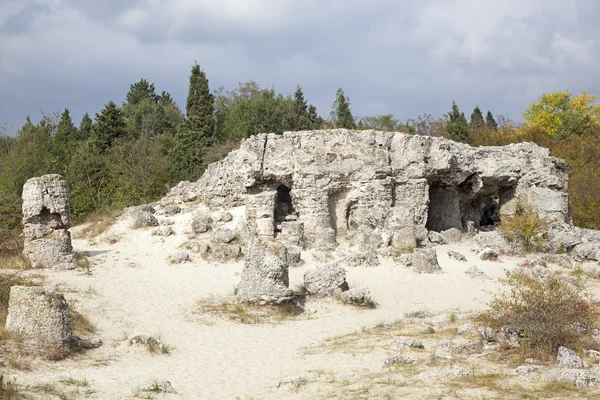 Versteend bos in de buurt van varna, Bulgarije. pobiti kamni, rock fenomeen — Stockfoto