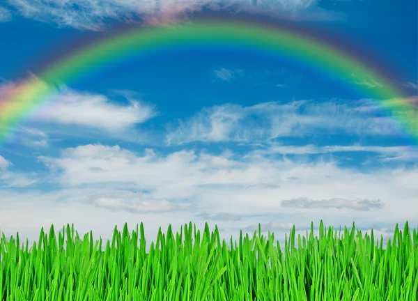 Hierba verde, cielo azul y arco iris como fondo —  Fotos de Stock