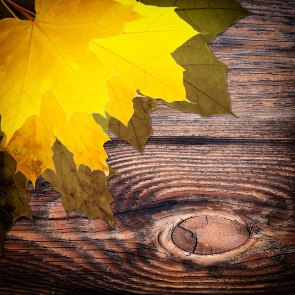 Autumn background with colored leaves on wooden board — Stock Photo, Image