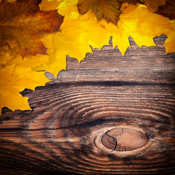 Autumn background with colored leaves on wooden board — Stock Photo, Image