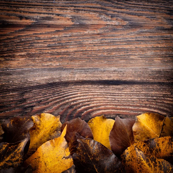 Autumn background with colored leaves on wooden board — Stock Photo, Image