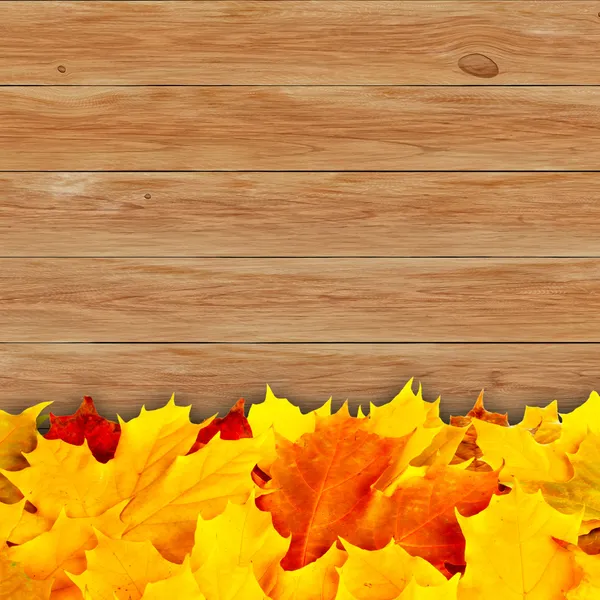 Autumn background with colored maple leaves on wooden board — Stock Photo, Image