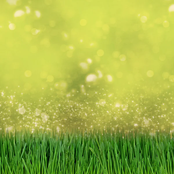 Yeşil çim ve soyut bokeh ışıklar arka plan — Stok fotoğraf