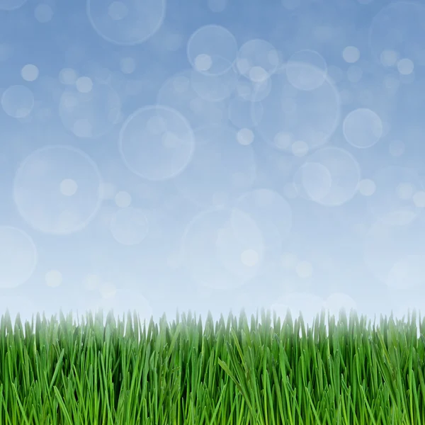 Zelené trávy a abstraktní bokeh osvětlení pozadí — Stock fotografie