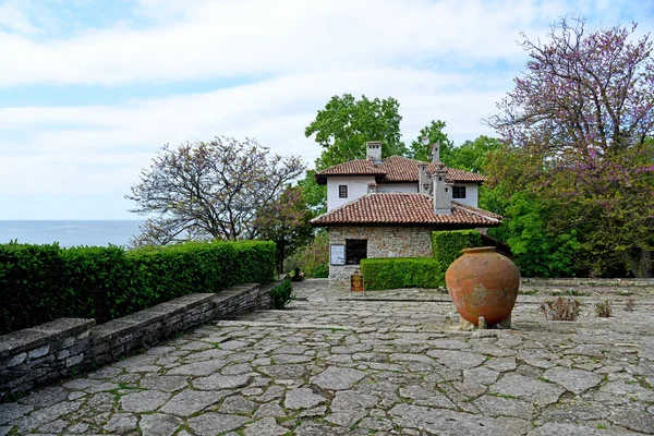 Fiori in un giardino botanico — Foto Stock