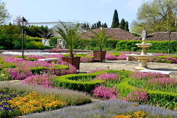 Flowers in a botanical garden — Stock Photo, Image