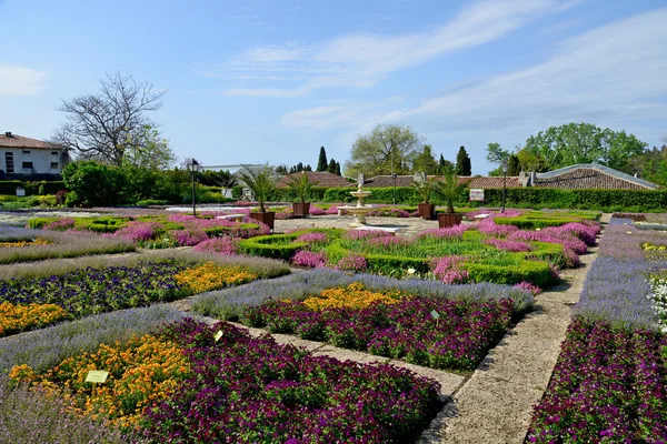 Flores em um jardim botânico — Fotografia de Stock