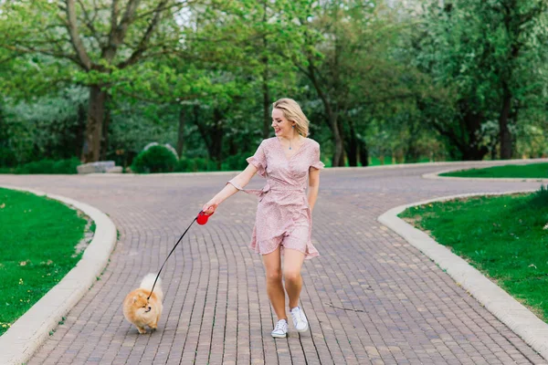 Привлекательная Молодая Женщина Держащая Собаку Улице Улыбающаяся Камеру Гуляющая Парке — стоковое фото