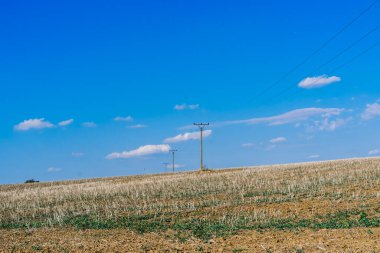 Gökyüzü arka planında elektrik iletim hatları, bir sonbahar alanı