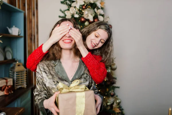 Coppia Lesbica Insieme Chiuso Comunicare Allegramente Preparandosi Celebrazione Del Natale — Foto Stock