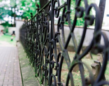 Prag - 10.29.2021. Mezardaki çiçekler, mezarlıktaki sonbahar, Prag, Çek Cumhuriyeti, güneşli bir gün