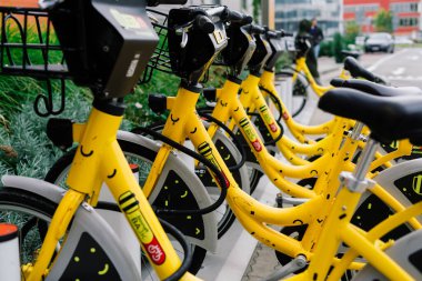 Bratislava, Slovakya - 11.17.2021. Bisikletler arka arkaya park edilmiş, parktaki bir bisikletçi dükkanında. seçici odak