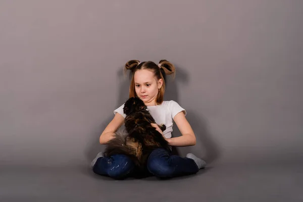 Amo Mio Gattino Bambina Tiene Suo Nuovo Animale Domestico — Foto Stock