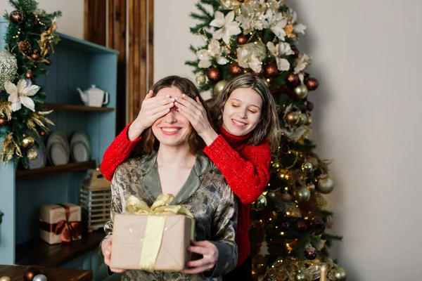 Coppia Lesbica Insieme Chiuso Comunicare Allegramente Preparandosi Celebrazione Del Natale — Foto Stock