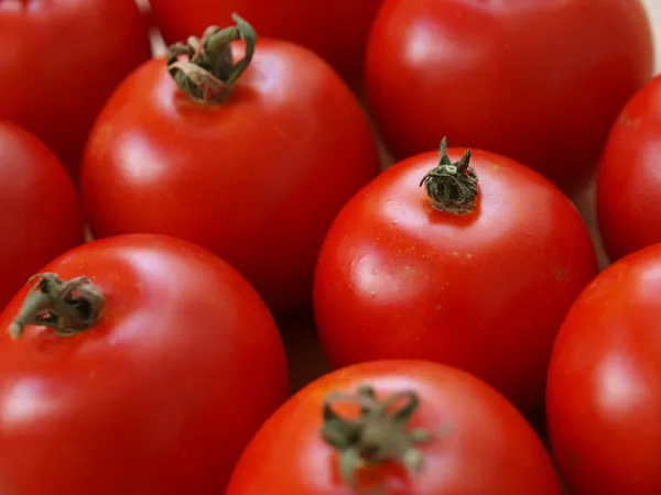 Tomatoes 134 — Stock Photo, Image