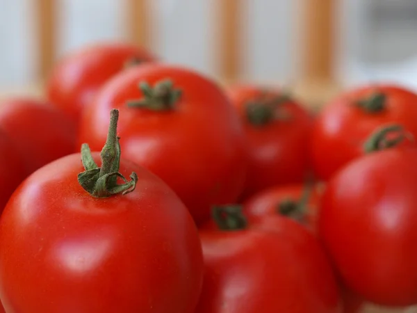 Tomates 109 — Fotografia de Stock