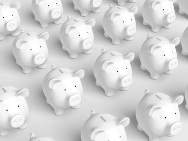 kumbara - beyaz kılavuz