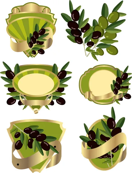 Set de etiquetas con ramas de olivo — Vector de stock