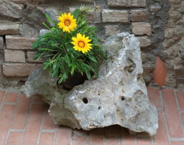 Flower and stone clipart