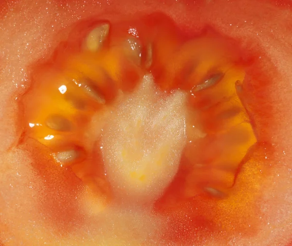 Λεπτομέρεια αφηρημένη ντομάτα — Φωτογραφία Αρχείου
