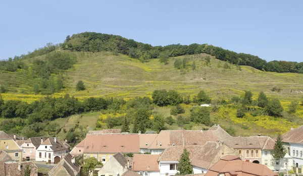 Biertan — Stok fotoğraf