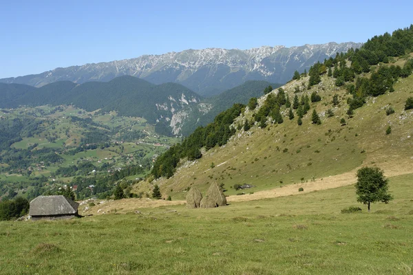 Transilvania —  Fotos de Stock