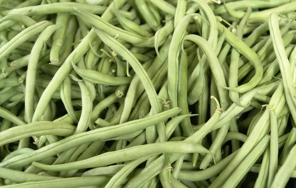 Fresh green runner beans — Stock Photo, Image